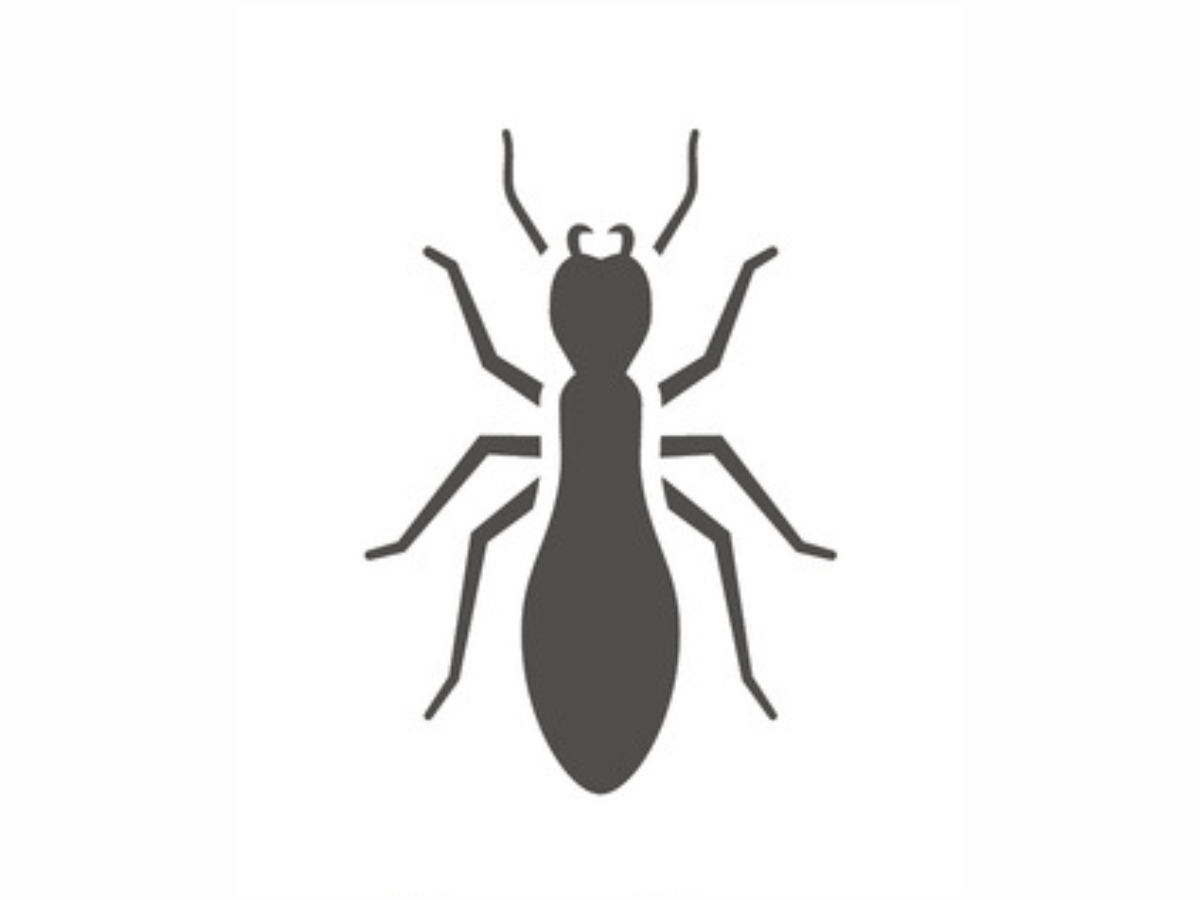 Termite control icon